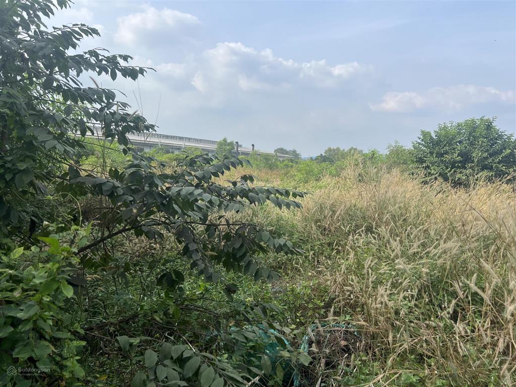 Bán lô đất trong khu công nghiệp bầu bàng bình dương