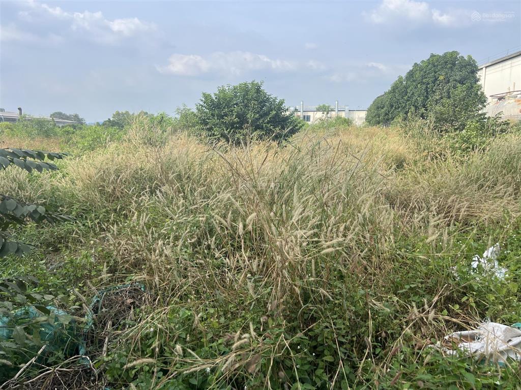 Bán lô đất trong khu công nghiệp bầu bàng bình dương