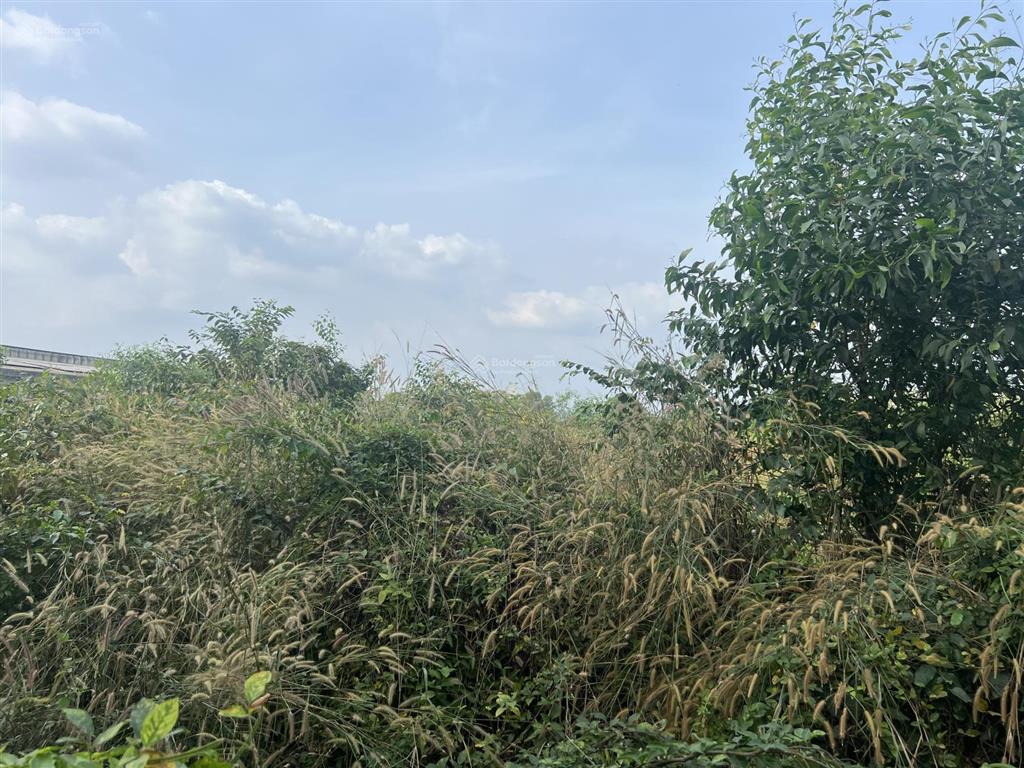 Bán lô đất trong khu công nghiệp bầu bàng bình dương