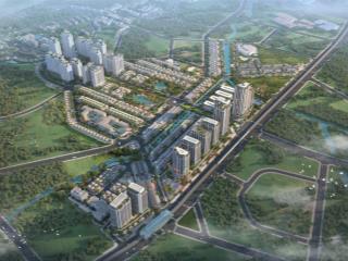 Cần bán căn biệt thự song lập ngay trường học đoàn thị điểm, hướng đông nam. nhân nhà ngay