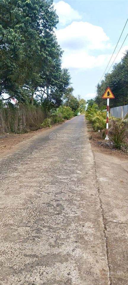 Bán đất vườn sầu riêng siêu lợi nhuận đất đẹp phủ hồng, full tiềm năng đầu tư