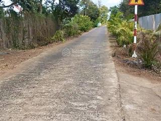 Bán đất vườn sầu riêng siêu lợi nhuận  đất đẹp phủ hồng, full tiềm năng đầu tư