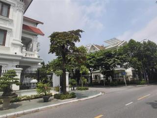 Chủ cần bán gấp luôn, biệt thự việt hưng  nhà đẹp hiện đại, thang máy 202m2, 4 tầng, giá 55 tỷ