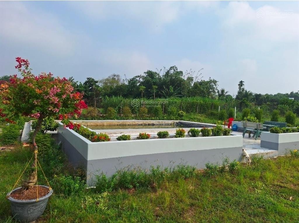 Mua đất có sẵn biệt thự sân vườn cao cấp, mặt tiền đường tỉnh lộ 7, xã thái mỹ, củ chi