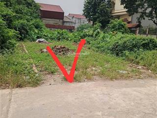 Bán đất 60m2, 4,35 tỷ tại liên ninh, thanh trì, hà nội