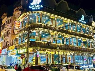 Cho thuê nhà mặt phố giảng võba đình,dt600m2,mt60m.cho thuê mọi mô hình kinh doanh