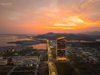 Còn duy nhất 1 căn shop khối đế icon giá hơn 6tỷ
ngân hàng hỗ trợ vay 70%. miễn gốc lãi 12 tháng.