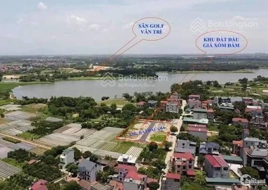 Bán lô đất đấu giá 85m2 #vânnội#đônganh ,2 mặt tiền chỉ 10 tỷ  0983 606 ***