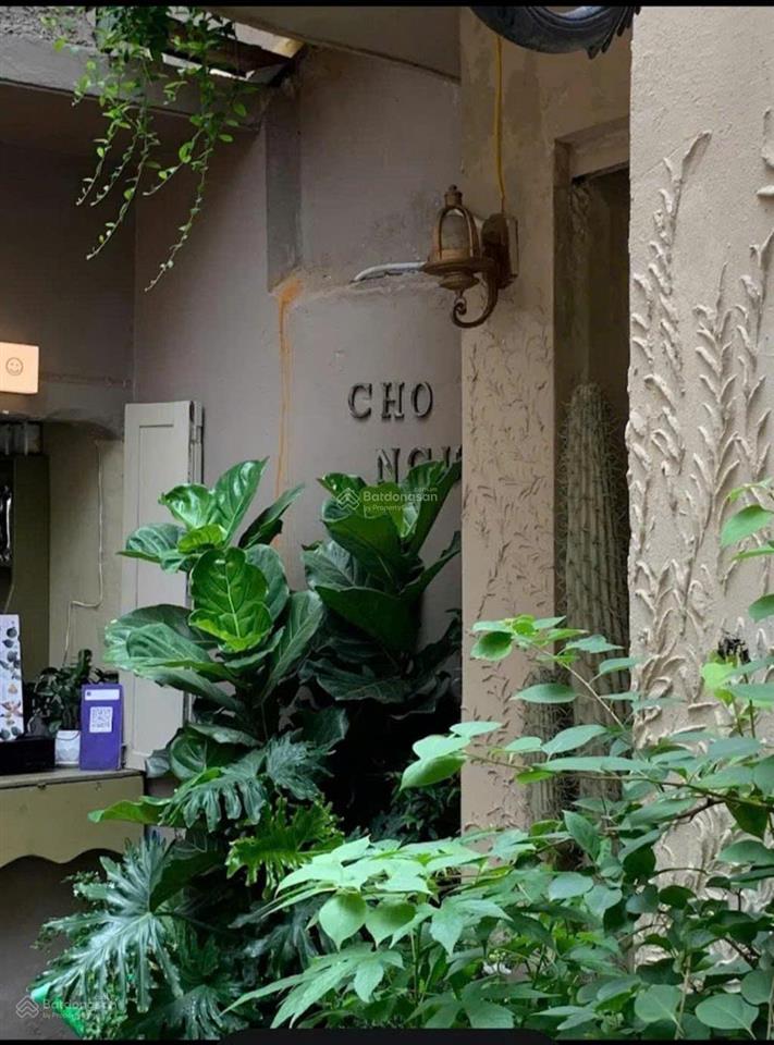 Mặt phố ba đình  mặt tiền quyền lực 7m  thông sô vàng  sổ vuông đét  giá đầu tư.