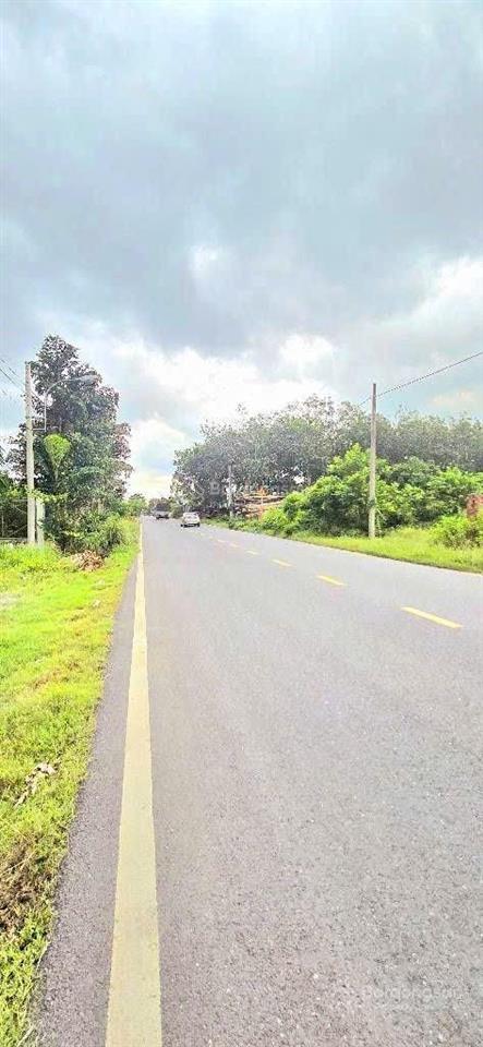 Mt tỉnh lộ 15 15x53m ~ 800m2 300m2 thổ cư chỉ 9 tỷ