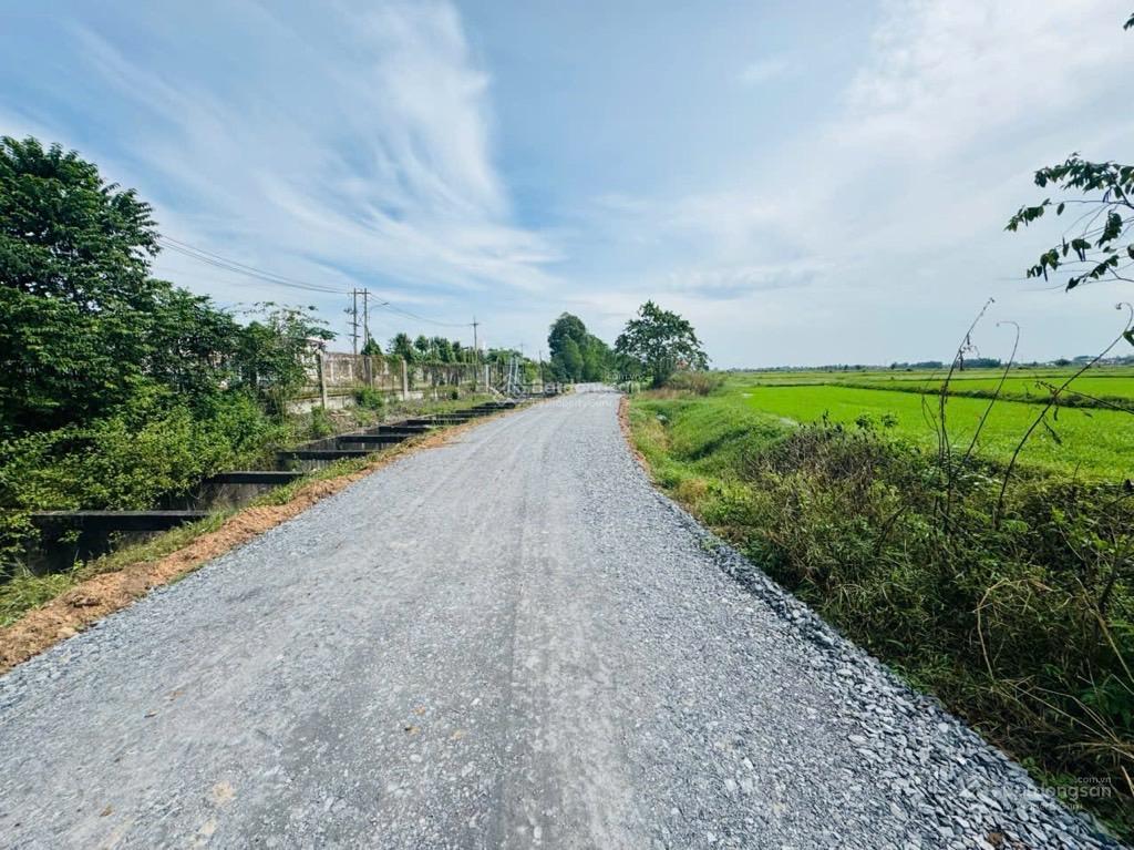 Bán đất xã thái mỹ củ chi | dt lớn 4.199,7m2 ngộp bank  chỉ 5 tỷ 5