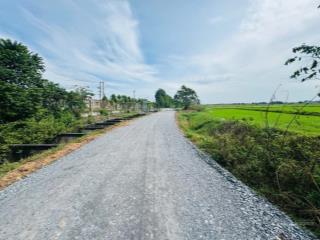 Bán đất xã thái mỹ củ chi | dt lớn 4.199,7m2 ngộp bank  chỉ 5 tỷ 5