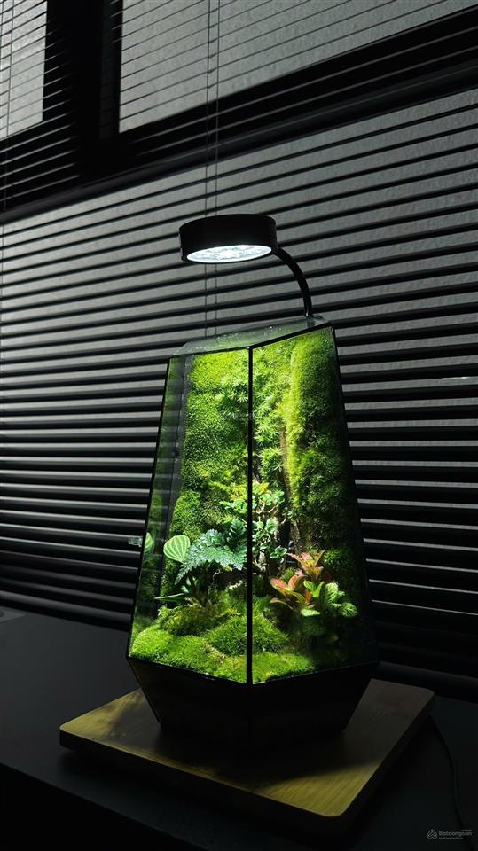 Bán căn hộ precia quận 2 diện tích 50m2 loại 1pn+ tầng cao view thoáng, full nội thất giá 4,8 tỷ