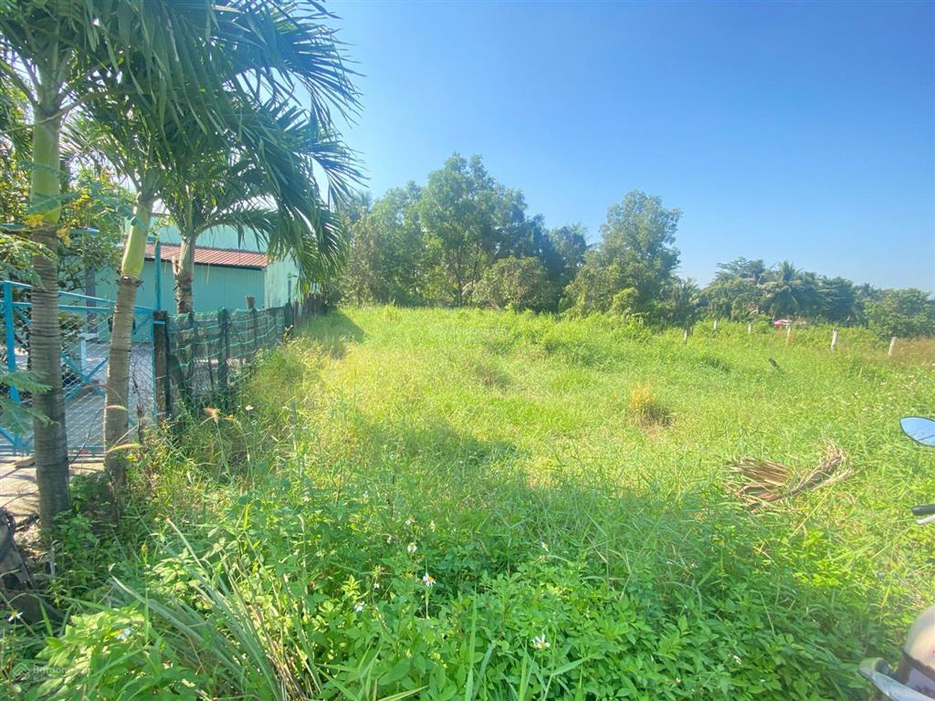 Bán gấp vườn 500m2 đường xe tải gần bv nhi đồng bình chánh