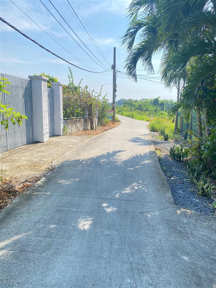 Bán gấp vườn 500m2 đường xe tải gần bv nhi đồng bình chánh