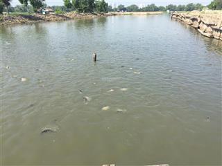 Bán đất bình hưng bình chánh 5000m2 giá 3tr/m2 quá rẻ