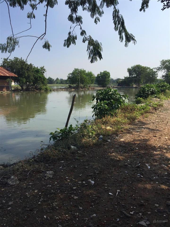Bán đất bình hưng, bình chánh 5060m2, giá ~ 3tr/m2 quá rẻ