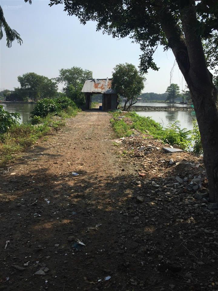 Bán đất bình hưng, bình chánh 5060m2, giá ~ 3tr/m2 quá rẻ