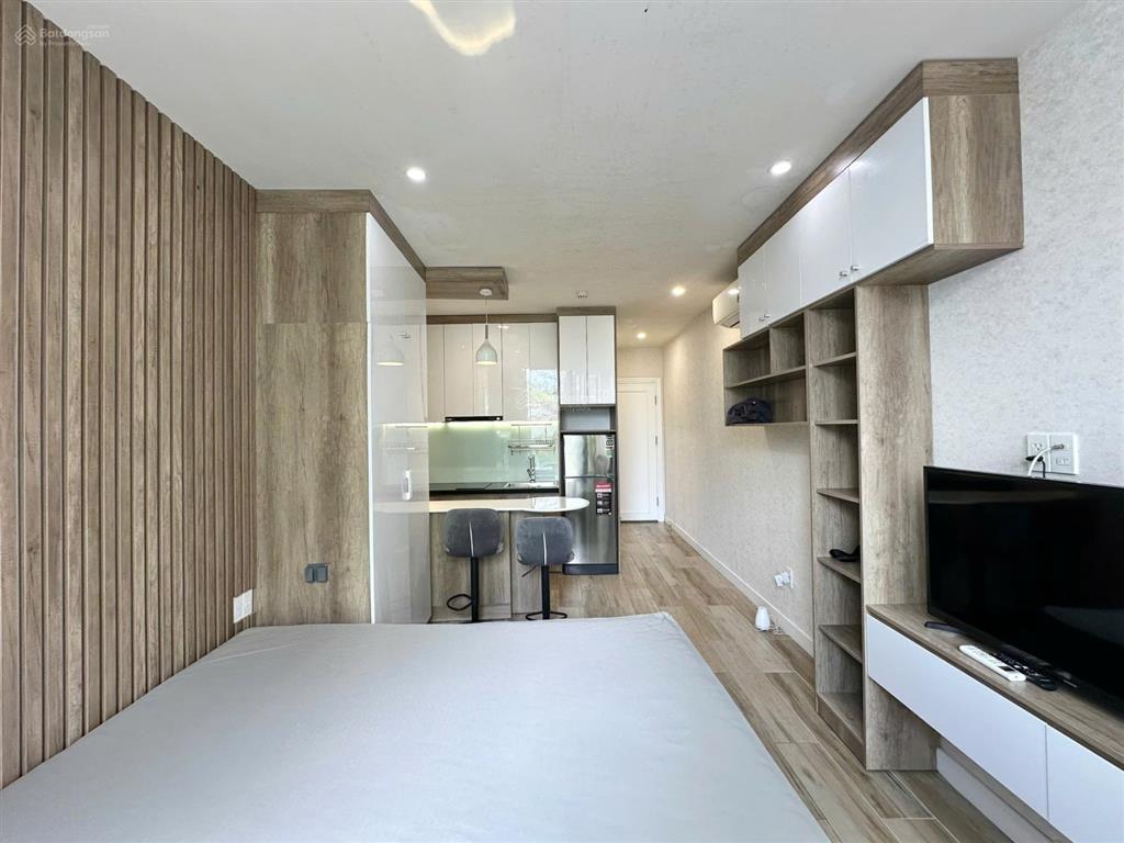 Căn hộ chung cư cao cấp 1pn bancol view cây xan gần bờ kè hoàng sa, q3, hẻm xe hơi, có thang máy