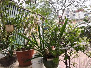 Cần bán nhanh trước tết f0
chtt đẹp nhất quận hai bà sổ to 2 thoáng  dt sd ~40m vskk chỉ 2,69 tỷ