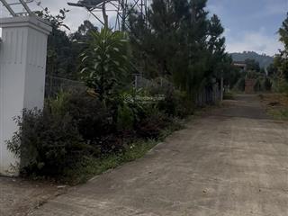 1,6 sào kế homestay flower  đường hoài thanh, bảo lộc  đường lên bình minh homestay