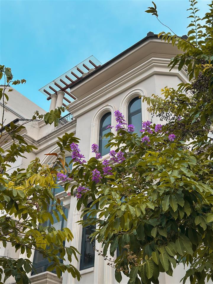 Giá tốt boutique villas manhattan 240m2 tại kđt vinhomes quận 9 | vị trí đẹp | hiếm bán chỉ 59 tỷ