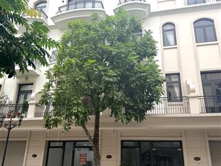 Rùng mình rùng mình quý khách ơi..
chủ nhà ngộp bank bán gấp. giá cực rẻ
sao biển 67,5m2.