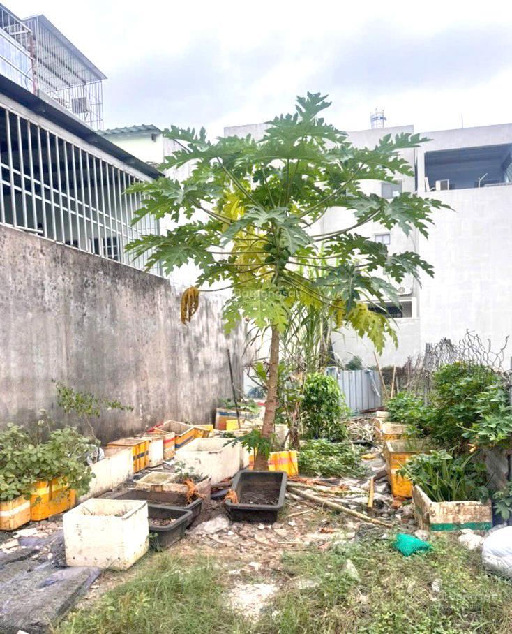 Ngộp sâu! giảm ngay 500tr đất 128m² tăng nhơn phú a hxh chỉ 7 tỷ ~ 55tr/m