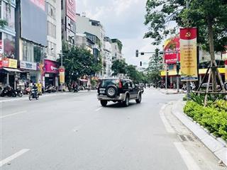Mặt phố thanh nhàn, thang máy, vỉa hè rộng, 132m 5t mặt tiền 9m, giá 48 tỷ