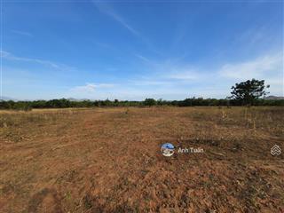 Bán đất trồng cây lâu năm liên sơn 2 phước vinh, ninh phước, ninh thuận, dt 2ha, giá bán 1,85 tỷ