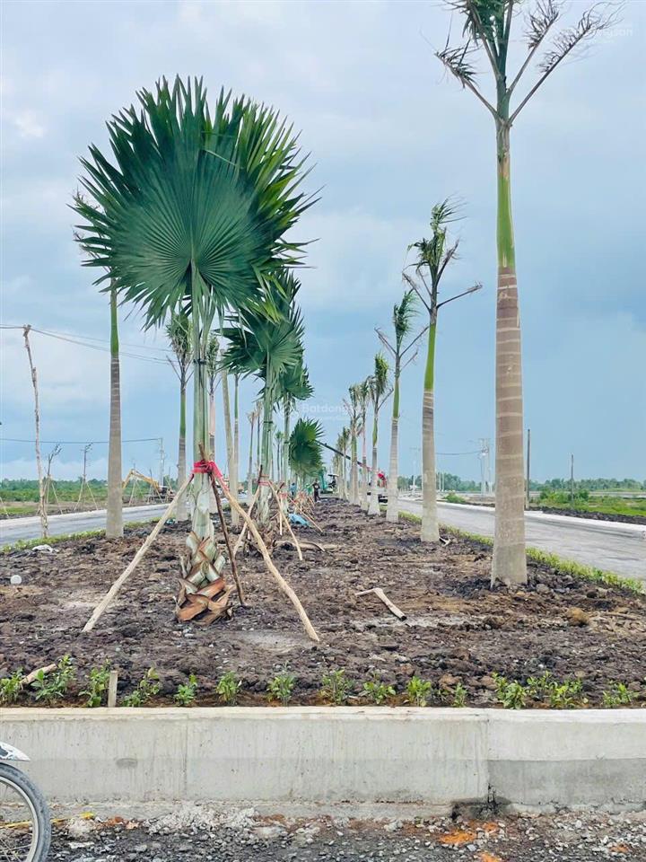 Bán 5000m2 đất tại kcn thủ thừa, long an giá tốt pháp lý đầy đủ hỗ trợ kh xây xưởng trọn gói