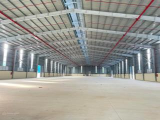 Cho thuê kho xưởng xây mới tại bình chánh, tphcm 6000m2 giá rẻ  pccc tự động  đường cont 24h