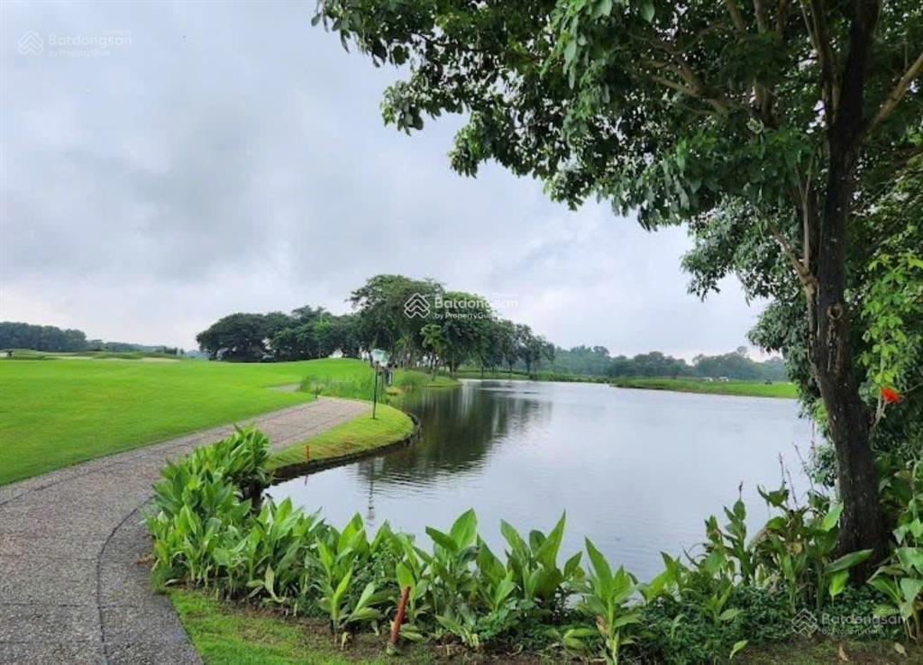 Chính chủ gửi bán 5 căn villa sân golf vân trì. diện tích 1190m2 mặt tiền 31m, xây 2 tầng, 205 tỷ