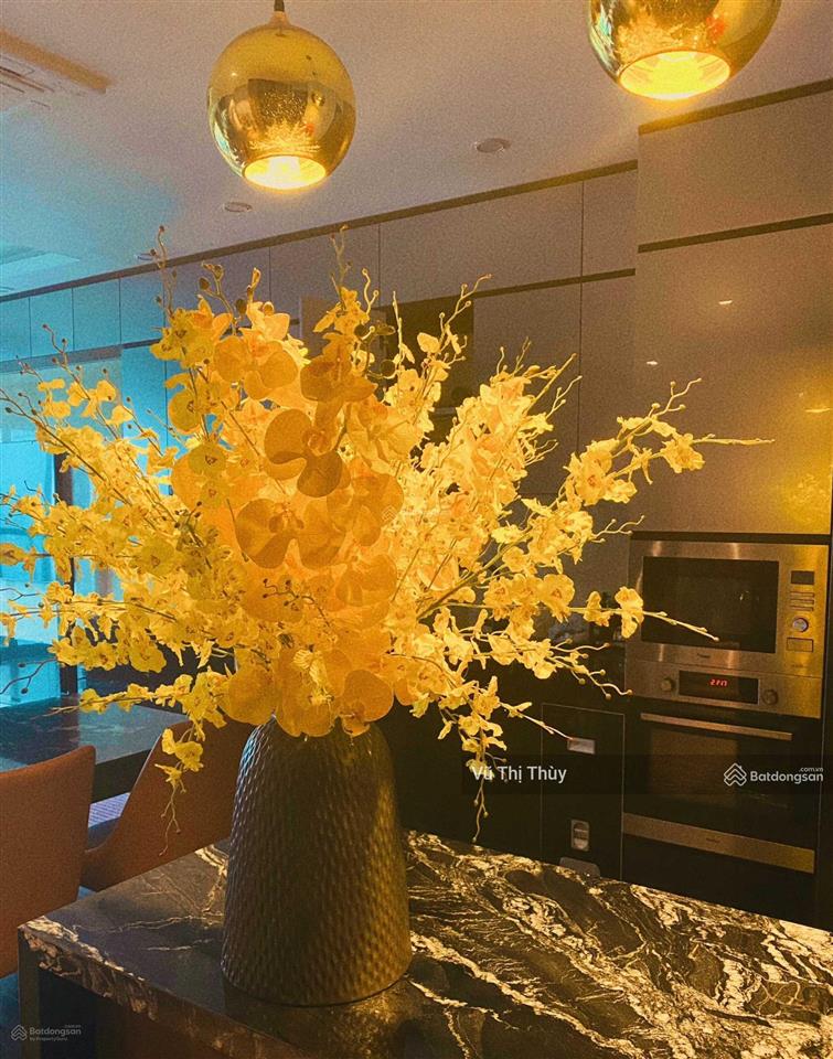 Vợ chồng tôi cần bán căn hộ rộng nhất dolphin plaza 354m2, 5n 3wc, 24 tỷ.  0965 066 ***