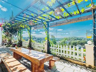 Cần bán gấp căn nhà tâm huyết, view thông xanh khe sanh đà lạt 415m2 ngang 15m giá 25 tỷ