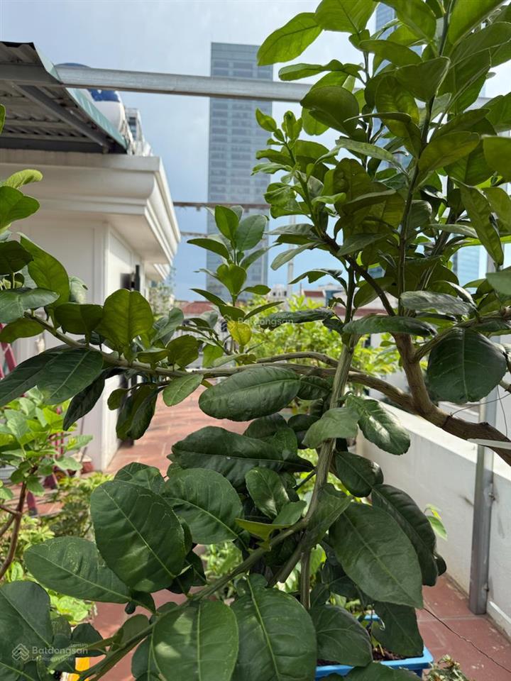 Bán nhà biệt thự giải phóng hai bà trưng 3 ô tô tránh và dừng đỗ, vỉa hè, kinh doanh 147m2 mt 13m.