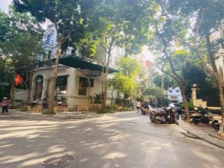 Đất phố nguyên hồng 150m2 * 6m mt  ô tô đỗ tránh  thông vòng quanh  50 tỷ