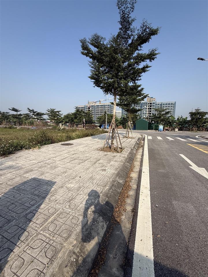 Diện tích 152m2  mặt tiền 6m , giá đang cực sốc  ngay , để được báo giá chi tiết !