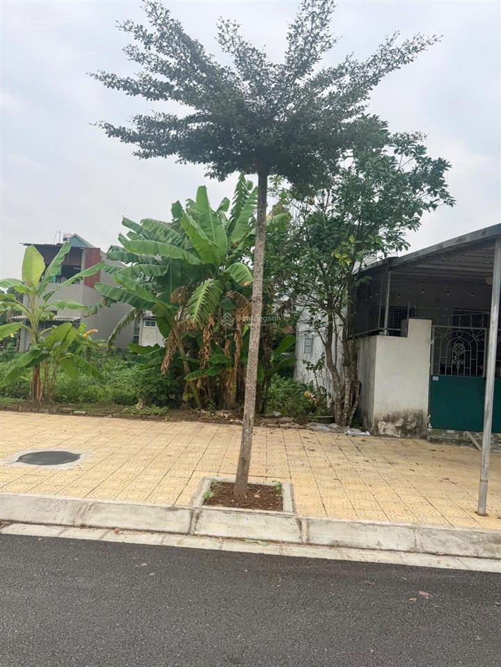 Cực sốc , chỉ nhỉnh 1,xx tỷ sở hữu đất nội thành phủ lý, cơ hội đầu tư hiếm có với mức giá này!