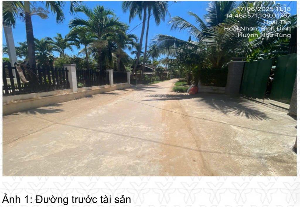 Bán gấp nhà riêng 443m2, 3,1 tỷ tại quốc lộ 1a, hoài tân, hoài nhơn, bình định