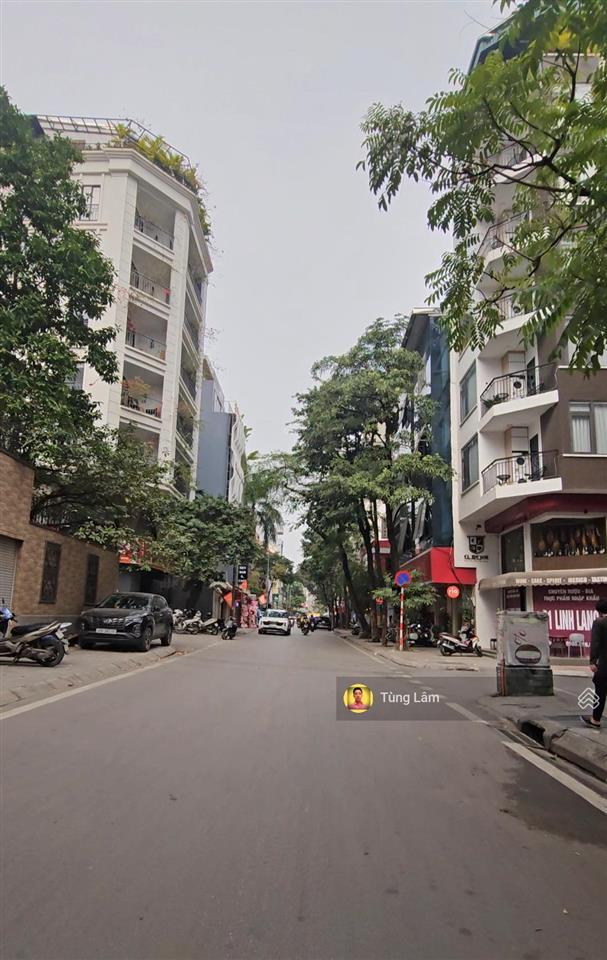 Bán nhà 56 linh lang  phan kế bính. 2 mặt tiền chạy dài trung tâm bậc nhất ba đình