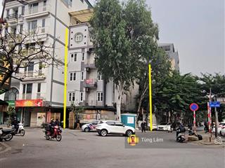 Bán nhà 56 linh lang  phan kế bính. 2 mặt tiền chạy dài trung tâm bậc nhất ba đình