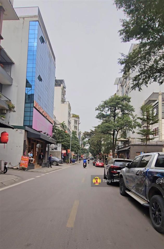 Bán nhà 56 linh lang  phan kế bính. 2 mặt tiền chạy dài trung tâm bậc nhất ba đình