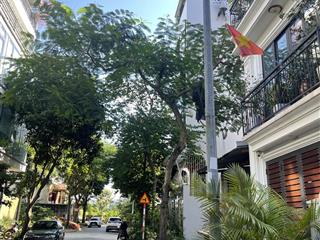 Hiếm, đất đáu giá việt hưng, phân lô vỉa hè  cạnh công viên long biên  85m2 mt 5m  25 tỷ