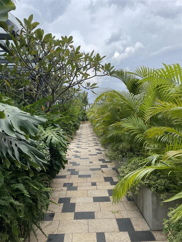 Nhận mua bán  ký gửi  cho thuê căn hộ zeit river thủ thiêm