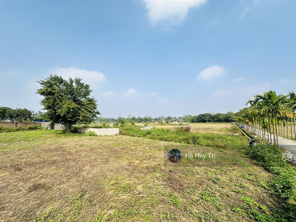 850m2  250m2 thổ cư  lô góc  view paronama cánh đồng núi non  cách ql21a 500m