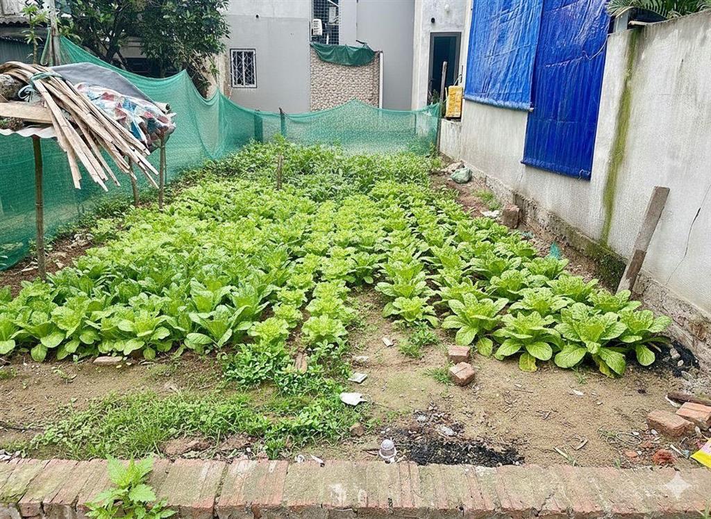 78m2 tại an khánh phân khúc vàng xây ccmn cho thuê  gần trường, chợ, giao thông toàn đường lớn