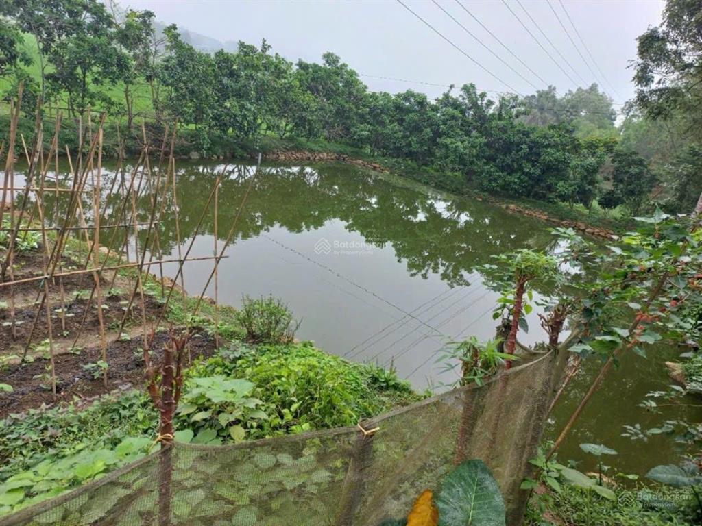 Cơ hội sở hữu nhà vườn sinh thái, đầy đủ tiện nghi ở đại phú, sơn dương, tuyên quang