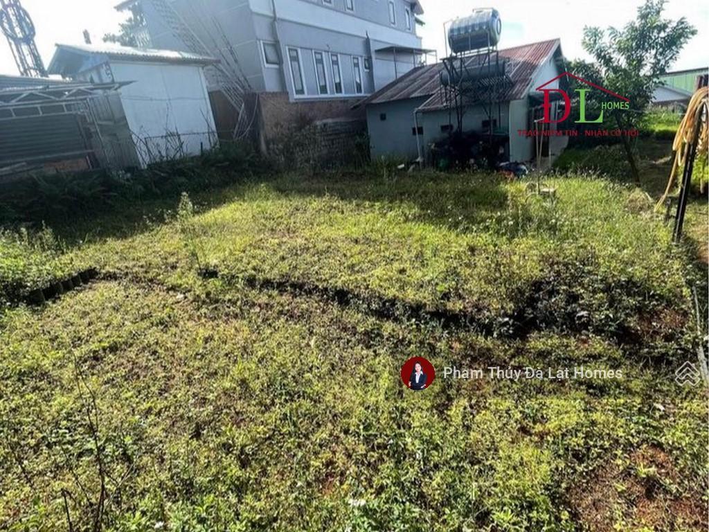 Bán đất tặng nhà đường khe sanh, đà lạt, thế cao bằng phẳng, phía sau giáp thông
