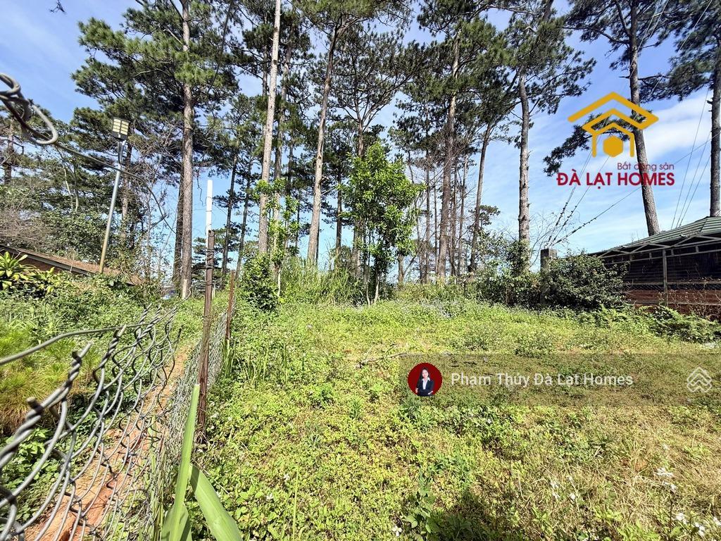 Bán đất tặng nhà đường khe sanh, đà lạt, thế cao bằng phẳng, phía sau giáp thông